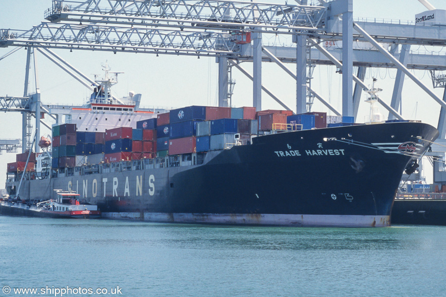 Photograph of the vessel  Trade Harvest pictured in Europahaven, Europoort on 17th June 2002