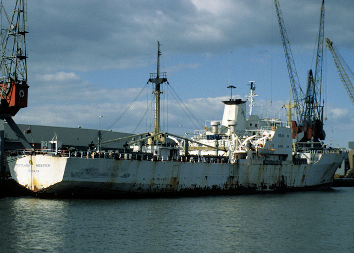 Photograph of the vessel  Tropicana Reefer pictured in Rotterdam on 20th April 1997