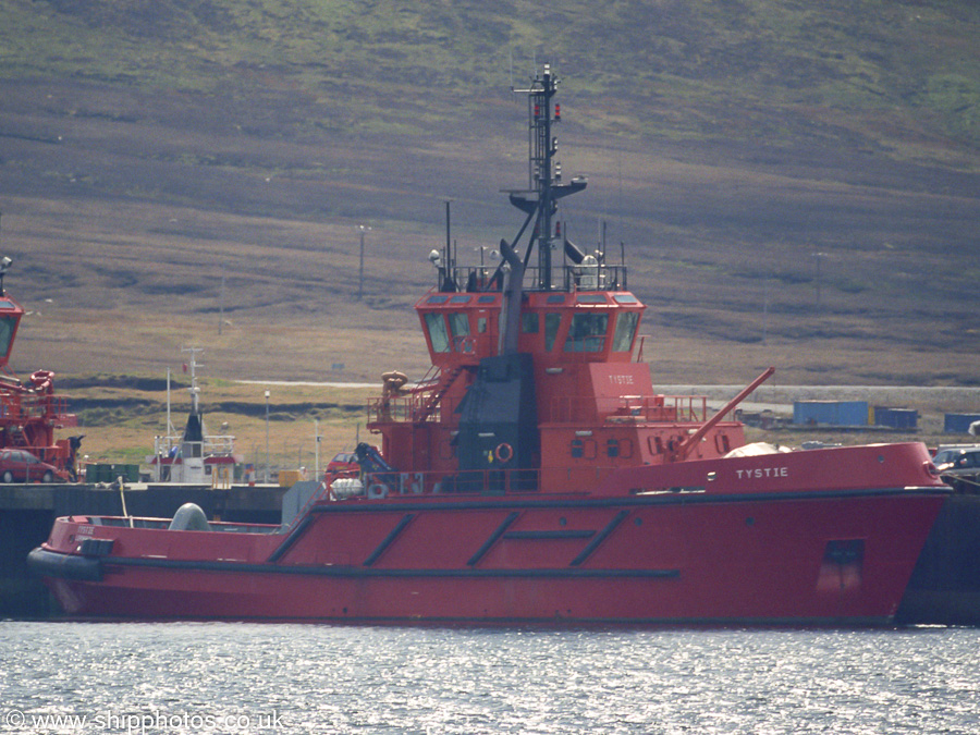 Tystie pictured at Sella Ness on 11th May 2003