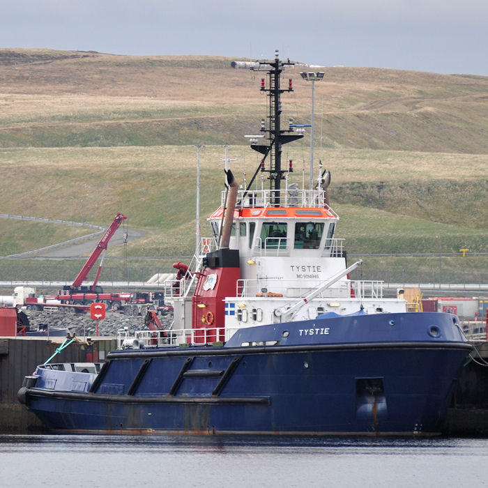 Tystie pictured at Sella Ness on 11th May 2013