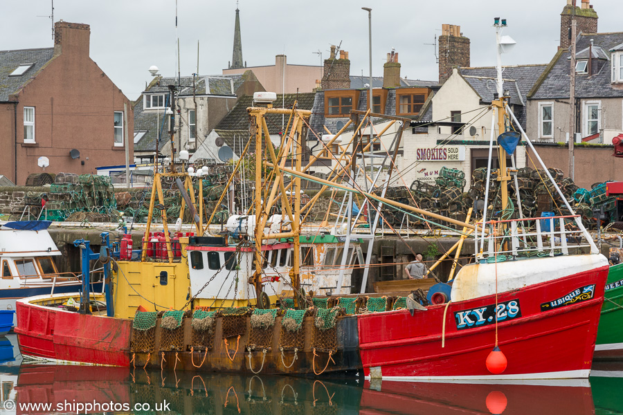 Photograph of the vessel fv Ubique  pictured at Arbroath on 31st May 2019