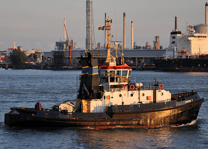 Photograph of the vessel  Union 7 pictured at Vlaardingen on 24th June 2012