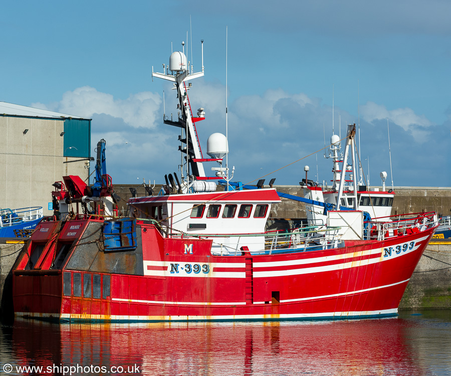 Photograph of the vessel fv Vellee pictured at Fraserburgh on 12th September 2024