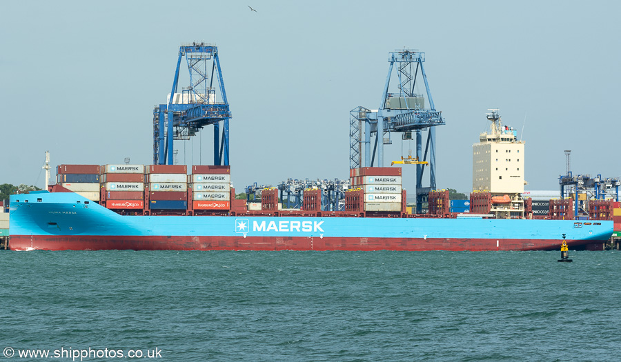 Photograph of the vessel  Vilnia Mærsk pictured at Trinity Terminal, Felixstowe on 15th August 2024