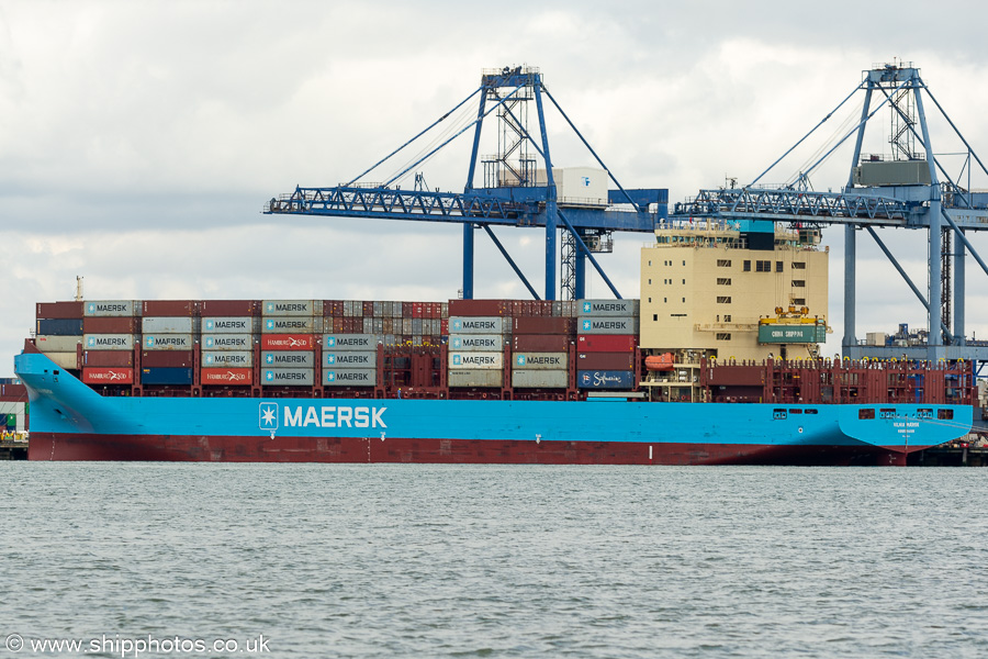 Photograph of the vessel  Vilnia Mærsk pictured at Trinity Terminal, Felixstowe on 16th August 2024