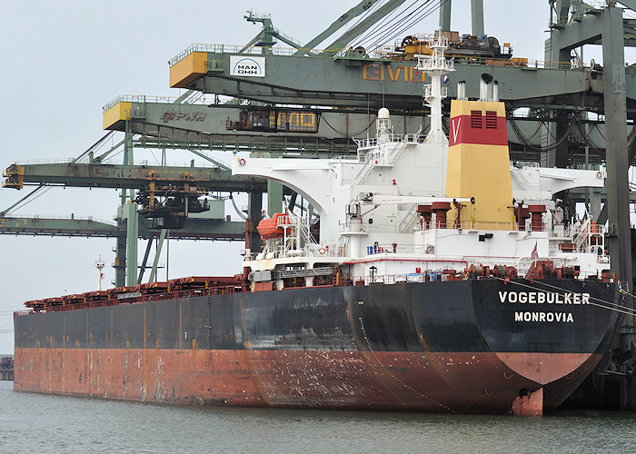 Photograph of the vessel  Vogebulker pictured in Mississippihaven, Europoort on 26th June 2011