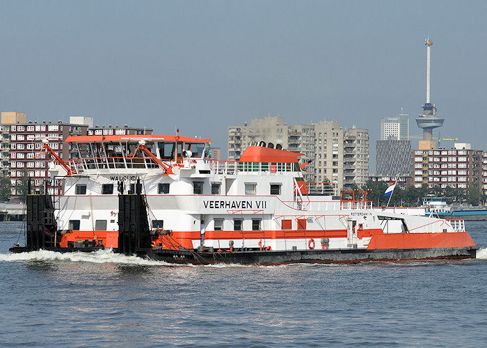 Photograph of the vessel  Walrus - Veerhaven VII pictured on the Nieuwe Maas on 26th June 2011