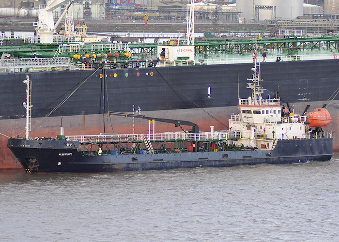 Photograph of the vessel  Wilberforce pictured at Immingham on 29th June 2011