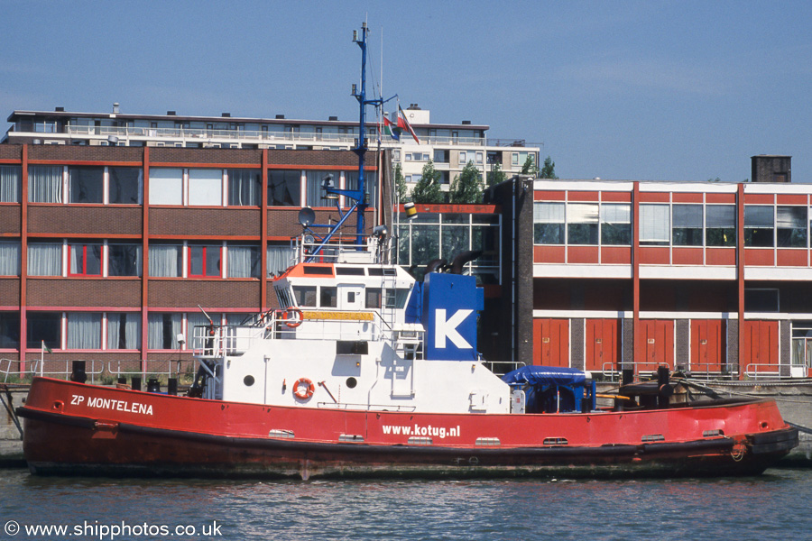 Photograph of the vessel  ZP Montelena pictured in Wiltonhaven, Rotterdam on 17th June 2002