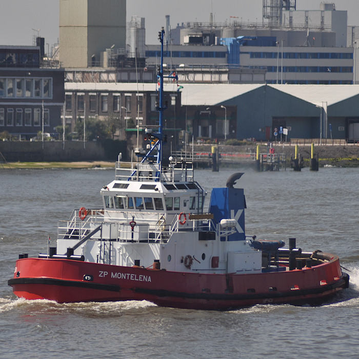 Photograph of the vessel  ZP Montelena pictured passing Vlaardingen on 27th June 2011