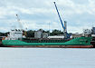 Arklow Rogue