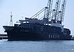 Hanjin Hamburg