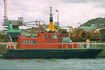 Kittiwake
