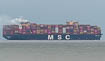 MSC Quitterie