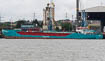 Sea Shannon