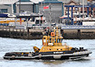 Damen ASD Tug 2509