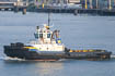 Damen ASD Tug 3111